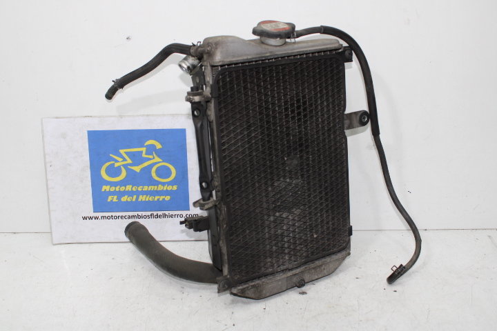 radiador-electro-ventilador-suzuki-burgman-an650a-executive-1771010G00000-1780010G00000 (1)
