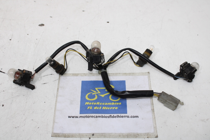 cableado-piloto-trasero-piaggio-beverly-500-ie-e3-2006-583801 (1)