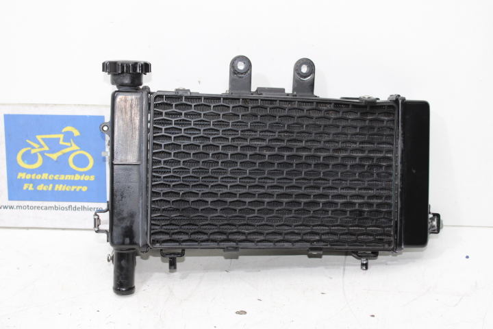 radiador-completo-voge-650-dsx-2022-160010134-0001 (1)