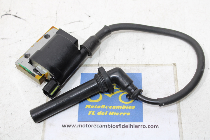 bobina-de-alta-beta-enduro-rr-350-4t-2017-031.40.021.37.00-006.10.055.00 (1)