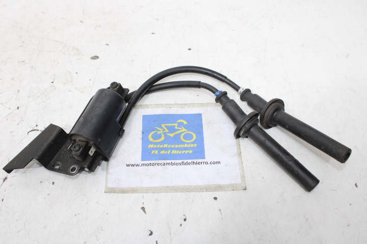 bobina-de-alta-yamaha-tmax-xp500-carburacion-2001-5GJ823100000-4XV823700100 (1)