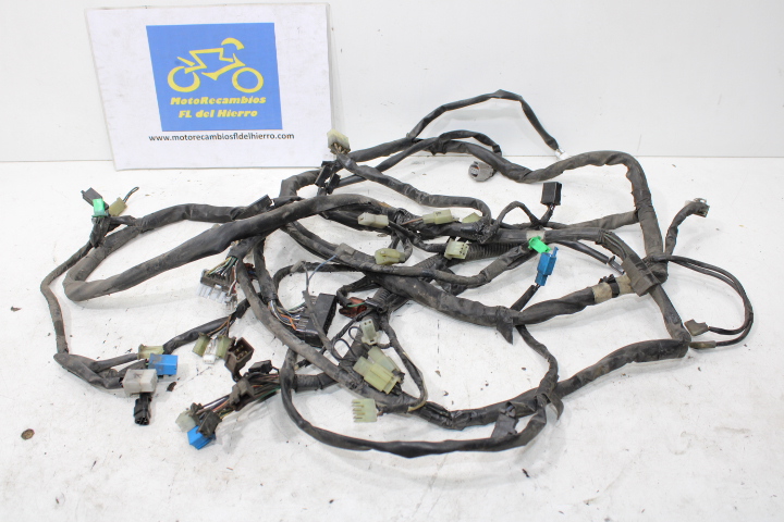 cableado-instalacion-electrica-yamaha-tmax-xp500-carburacion-2001-5GJ825900000 (1)