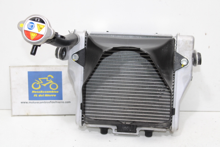 radiador-electro-ventilador-honda-forza-350-2025-19010K1BT61-19030K2LD01-19037MCAG61 (1)