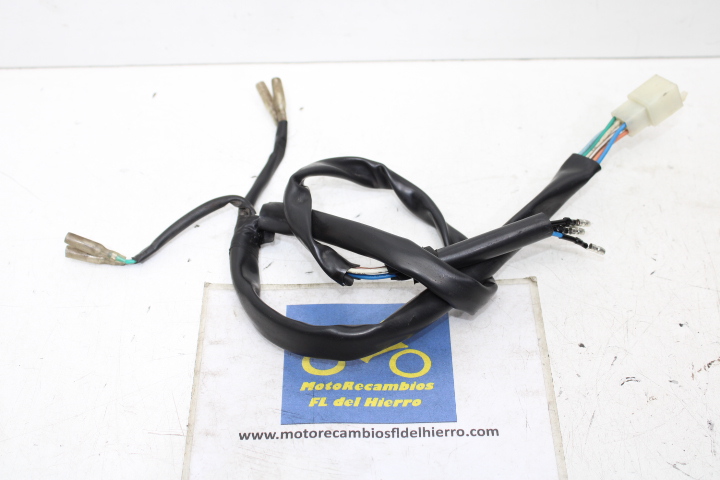 cableado-faro-intermitentes-delanteros-kymco-agility-carry-125-e5-2021-33108LFC2E10 (1)