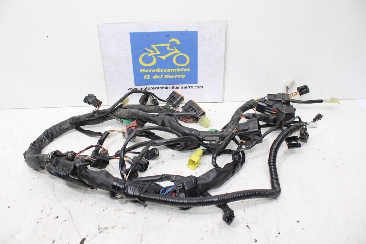 cableado-instalacion-electrica-suzuki-gladius-sfv-650-2013-3661044H10000 (1)
