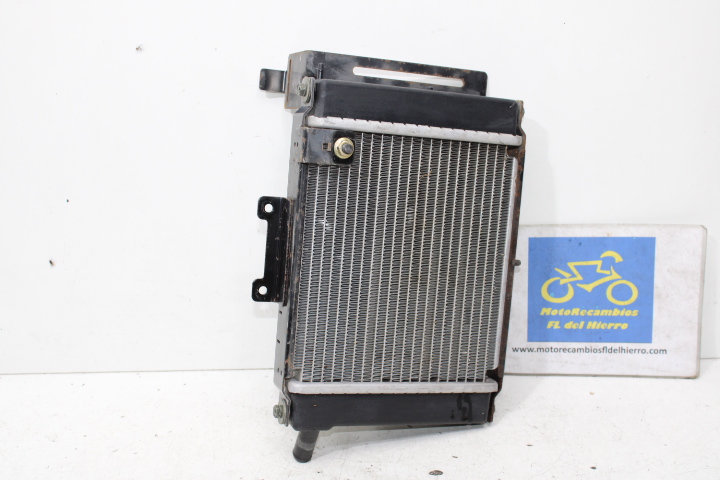radiador-electro-ventilador-kymco-grand-dink-125-2005-19010KKC4900-19005KKC490 (1)