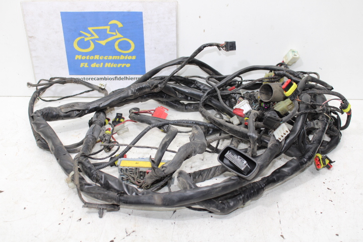 cableado-instalacion-electrica-piaggio-x10-125-ie-e3-2012-643210 (1)