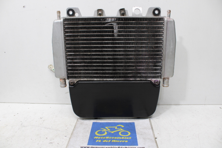 radiador-electro-ventilador-piaggio-x10-125-ie-e3-2012-657239-58170R (1)